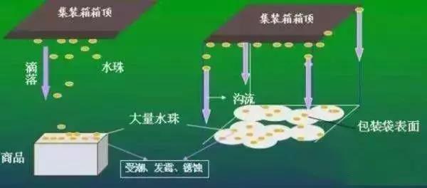 集裝箱里進水，誰的錯？如何預防應對？